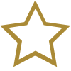 1.Z star Icon